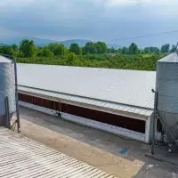 Other in Turkey, Sakarya, Adapazari, 12000 sq.ft.