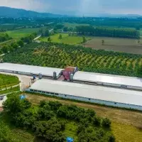 Other in Turkey, Sakarya, Adapazari, 12000 sq.ft.