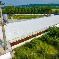 Other in Turkey, Sakarya, Adapazari, 12000 sq.ft.