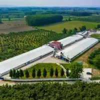 Other in Turkey, Sakarya, Adapazari, 12000 sq.ft.