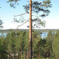 Дом в Финляндии, Юва, 190 кв.м.