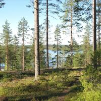 Дом в Финляндии, Юва, 190 кв.м.