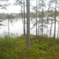 Land plot in Finland, Southern Savonia, Sulkava