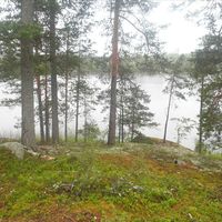 Land plot in Finland, Southern Savonia, Sulkava