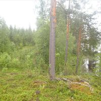 Земельный участок в Финляндии, Южное Саво, Сулкава