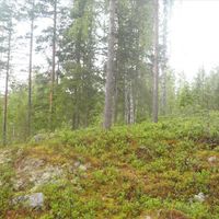 Земельный участок в Финляндии, Южное Саво, Сулкава