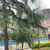 Apartment in Turkey, Istanbul, 650 sq.ft.