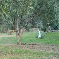 Land plot in Turkey, Istanbul, 13600 sq.ft.