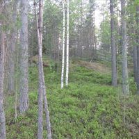 Land plot in Finland, Juva