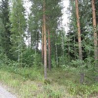 Земельный участок в Финляндии