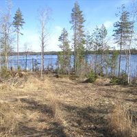 Земельный участок в Финляндии, Яппиля