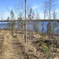Земельный участок в Финляндии, Яппиля
