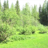 House in Finland, Pieksaemaeki, 35 sq.m.