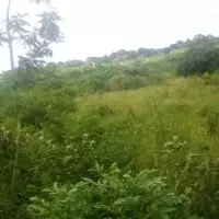 Land plot in Turkey, Istanbul, 4895 sq.ft.