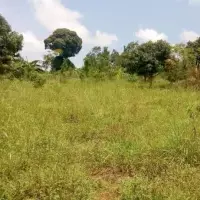 Land plot in Turkey, Istanbul, 4895 sq.ft.