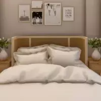 Aparthotel in Turkey, Istanbul, 153 sq.ft.
