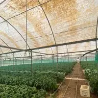 Other in Turkey, Fethiye, 32000 sq.ft.