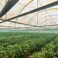 Other in Turkey, Fethiye, 32000 sq.ft.