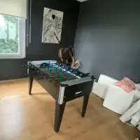 Apartment in Turkey, Istanbul, 160 sq.ft.