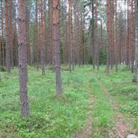 Земельный участок в Финляндии, Южное Саво, Юва
