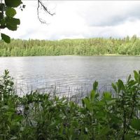 Земельный участок в Финляндии, Южное Саво, Юва