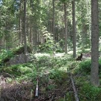 Land plot in Finland, Southern Savonia, Juva