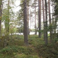 Земельный участок в Финляндии, Юва