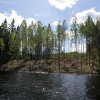 Земельный участок в Финляндии, Хейнявеси