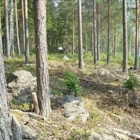 Земельный участок в Финляндии, Южное Саво, Савонранта