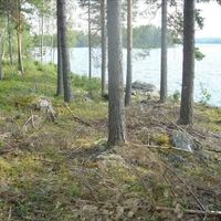 Land plot in Finland, Southern Savonia, Savonranta