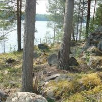 Земельный участок в Финляндии, Южное Саво, Савонранта