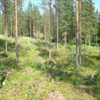 Land plot in Finland, Southern Savonia, Savonranta