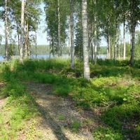 Земельный участок в Финляндии, Савонранта