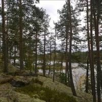 Land plot in Finland, Southern Savonia, Ihamaniemi