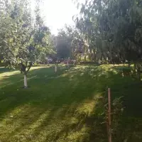 Villa in Turkey, Istanbul, 450 sq.ft.