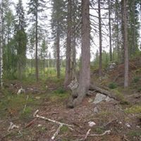 Land plot in Finland, Mikkeli