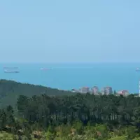 Апартаменты в Турции, Стамбул, 230 кв.фт.