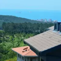 Апартаменты в Турции, Стамбул, 230 кв.фт.