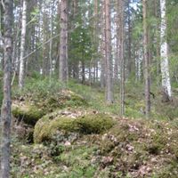 Земельный участок в Финляндии, Ихаманиеми