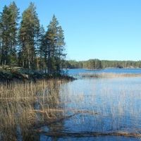Земельный участок в Финляндии, Руоколахти