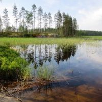 Land plot in Finland, Ruokolahti