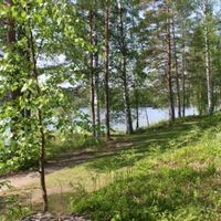 Дом в Финляндии, Савонранта, 50 кв.м.