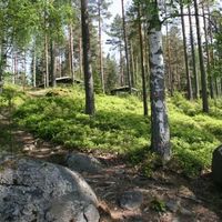 Дом в Финляндии, Савонранта, 50 кв.м.