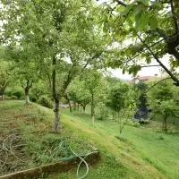 Вилла в Турции, Стамбул, 1200 кв.фт.