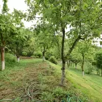 Вилла в Турции, Стамбул, 1200 кв.фт.