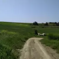 Земельный участок в Турции, Стамбул, 1073 кв.фт.