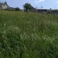 Land plot in Turkey, Istanbul, 1004 sq.ft.
