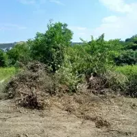 Land plot in Turkey, Istanbul, 4640 sq.ft.