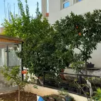 Вилла в Турции, Villa, 180 кв.фт.