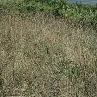 Land plot in Turkey, Istanbul, 2000 sq.ft.